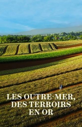 Les Outre-mer, des terroirs en or (2024)