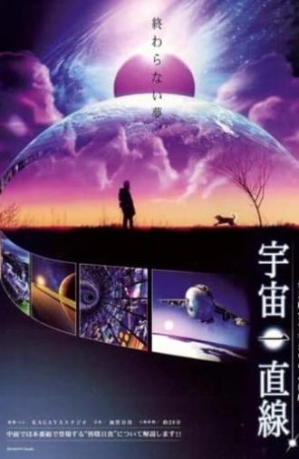 Straight into the Universe (2010)