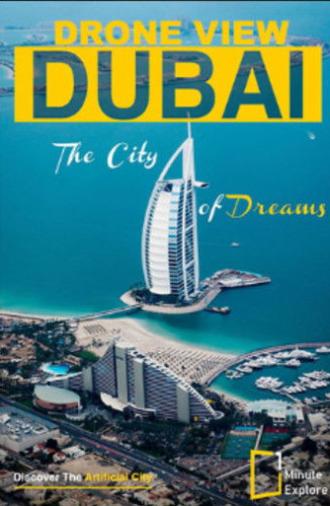 Dubai Drone View (2024)