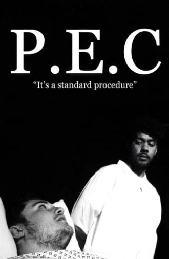 P.E.C (2024)