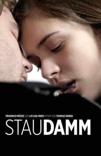 Staudamm (2014)