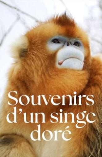 Souvenirs d'un singe doré (2023)