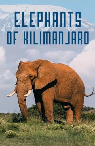 Elephants of Kilimanjaro (2022)