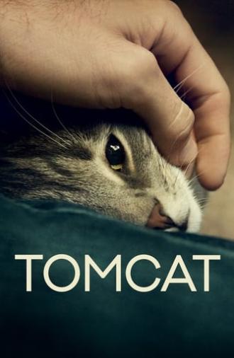 Tomcat (2016)