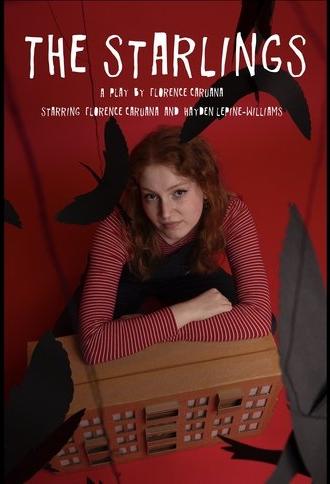 The Starlings (2024)