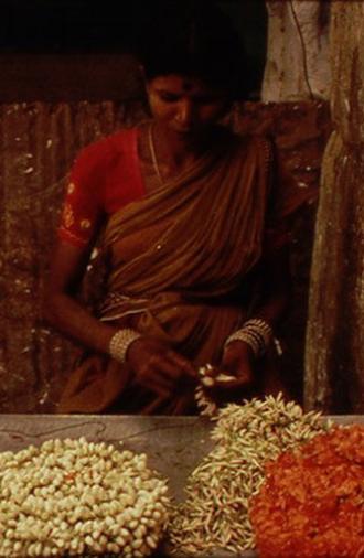 A Depression in the Bay of Bengal (1996)