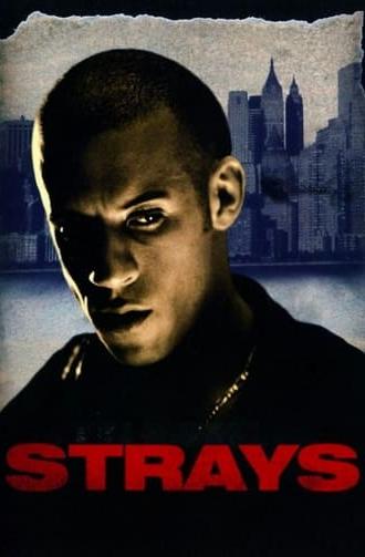 Strays (1997)