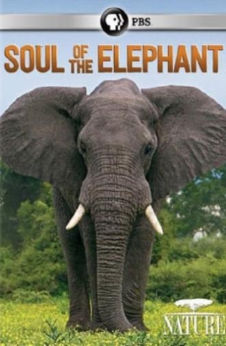 Soul of the Elephant (2015)