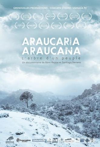 Araucaria Araucana (2018)