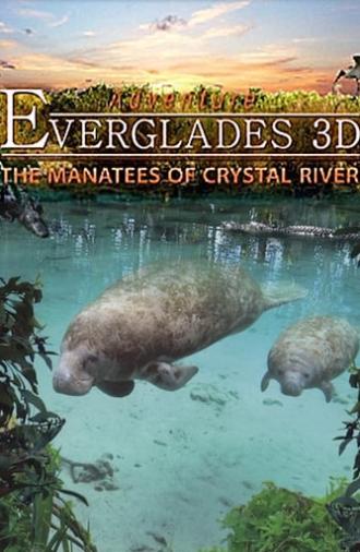 Adventure Everglades 3D - The Manatees of Crystal River (2012)