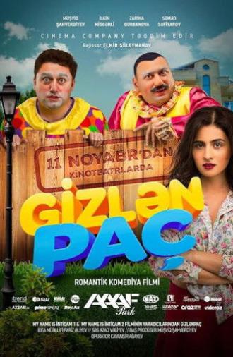 Hide and Seek (2016)