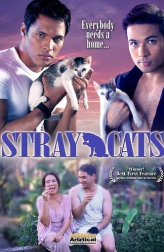 Stray Cats (2005)