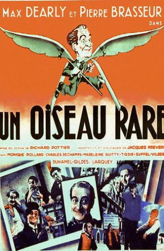 A Rare Bird (1935)