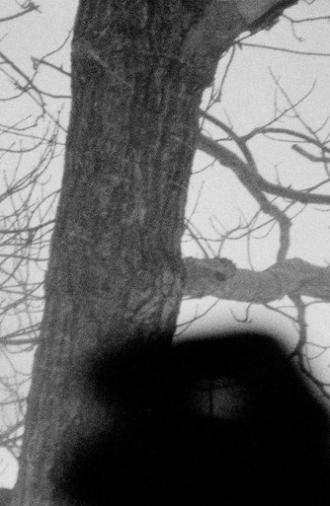 Mend (1979)