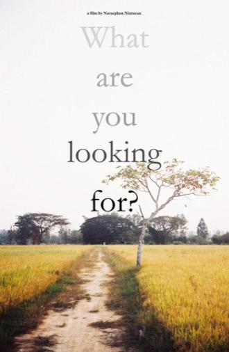 What are you looking for? (2025)