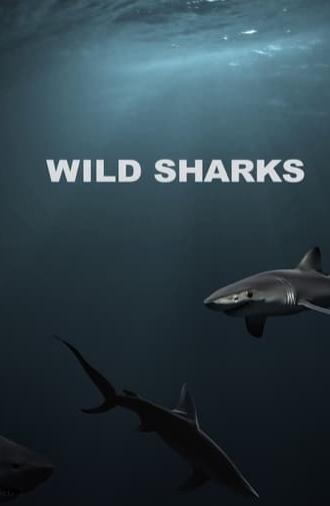 Wild Sharks (2013)