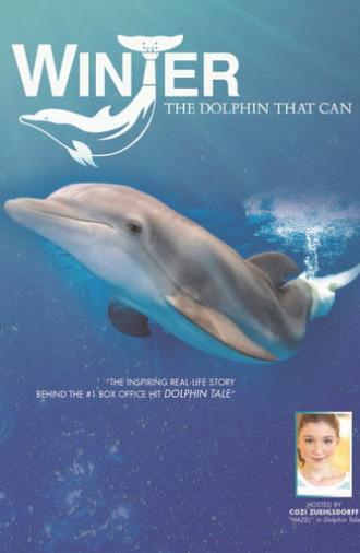 Winter, the Dolphin that Can (2013)