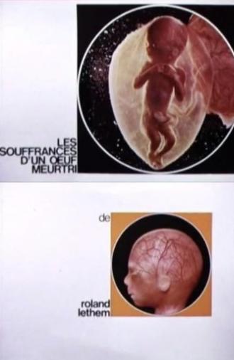 The Sufferings of a Wounded Egg (1967)