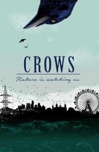 Crows - Nature Is Watching Us (2023)