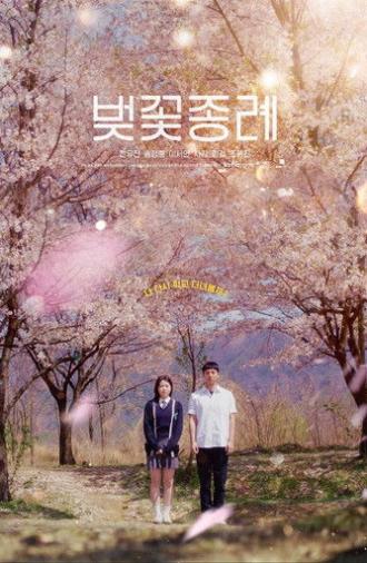 Blossom Graduation (2025)