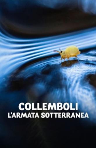 Collemboli - L'armata sotterranea (2023)