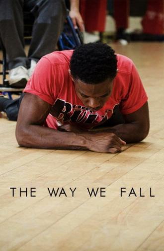 The Way We Fall (2016)