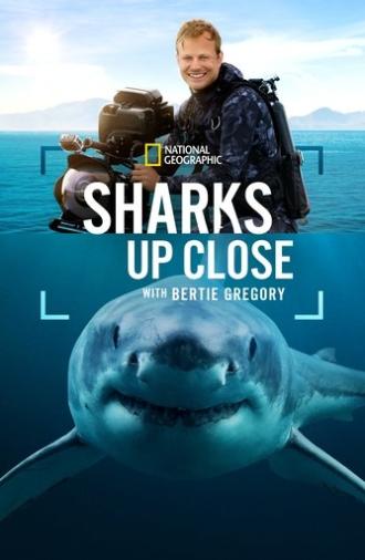 Sharks Up Close with Bertie Gregory (2025)
