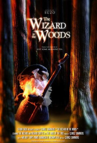 The Wizard in the Woods (2016)