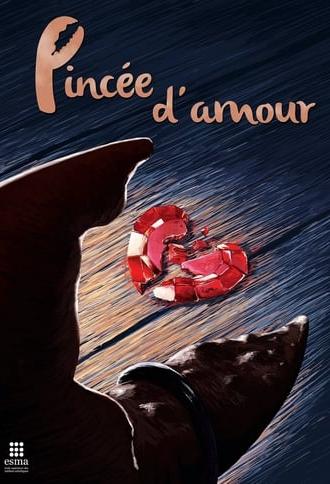 Pincée d'amour (2013)