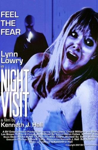 Night Visit (2007)