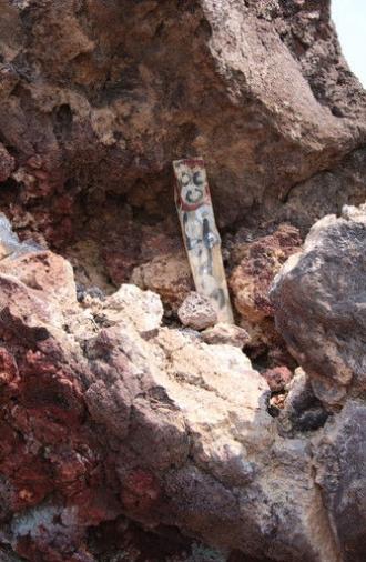 Man in the Mesa (2024)