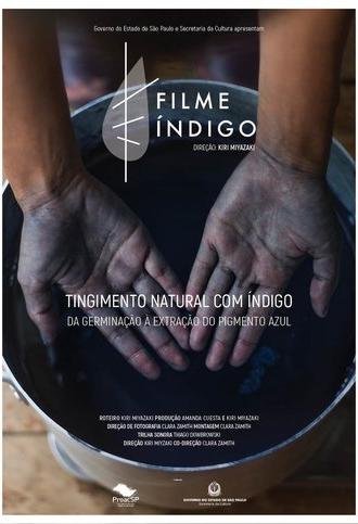 Tingimento Natural com Índigo: Da Germinação À Extração do Pigmento Azul (2018)
