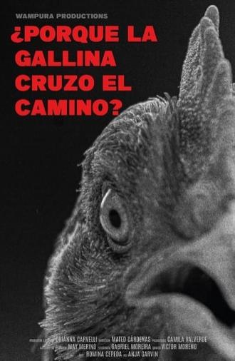 ¿Por qué la gallina cruzó el camino? (2024)