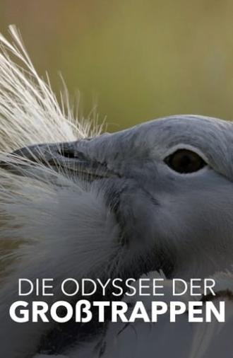 Die Odyssee der Großtrappen - Das Comeback der Riesenvögel (2021)