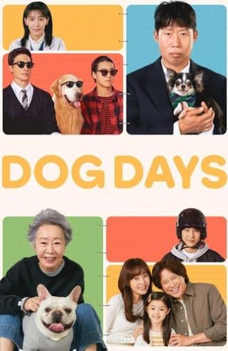 Dog Days (2024)