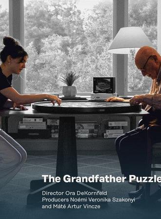 The Grandfather Puzzle (2026)
