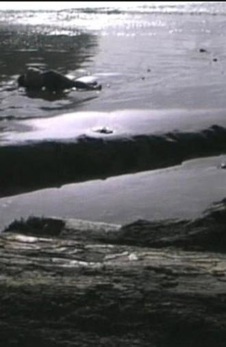 Incidence of Catastrophe (1988)