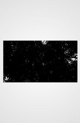 Right Across from Where Mangoes Fall (2025)