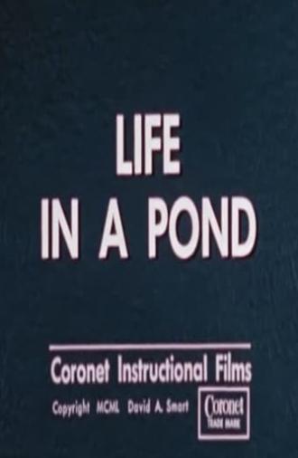 Life in a Pond (1949)