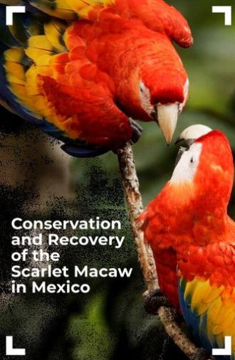 Conservation and Recovery of the Scarlet Macaw in Mexico (2025)