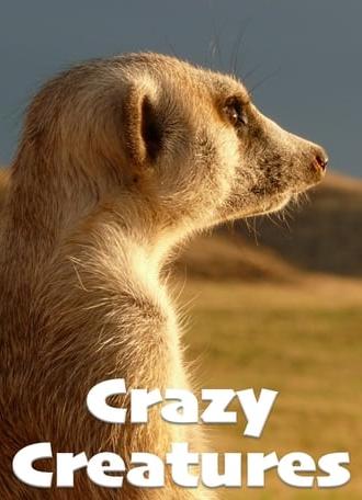 Crazy Creatures (2018)