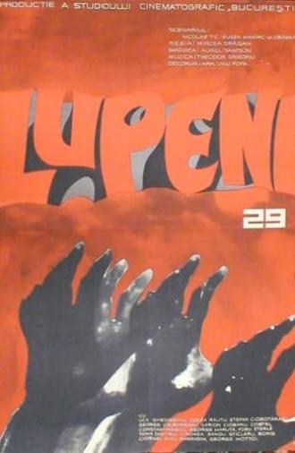 Lupeni 29 (1963)