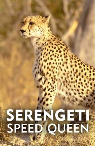 Serengeti Speed Queen (2020)
