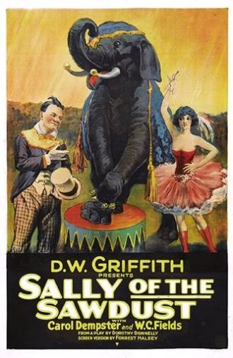 Sally of the Sawdust (1925)