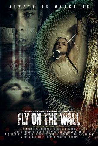 Fly on the Wall (2018)