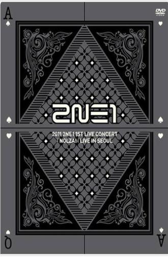 2NE1: 1st Live Concert NOLZA (2011)