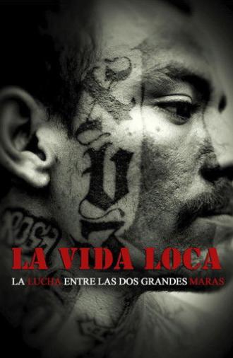 The Crazy Life (2008)