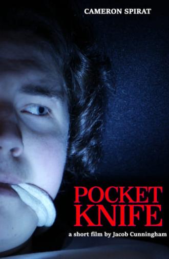 Pocket Knife (2020)