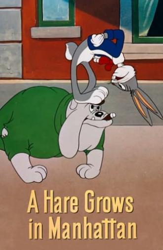 A Hare Grows in Manhattan (1947)