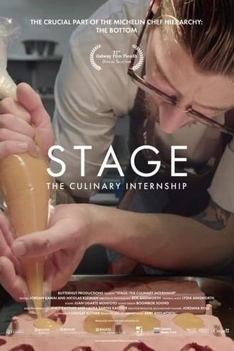 Stage: The Culinary Internship (2019)